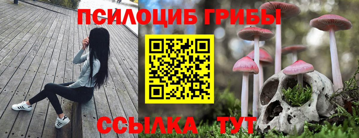 Псилоцибиновые грибы Cubensis Пенза