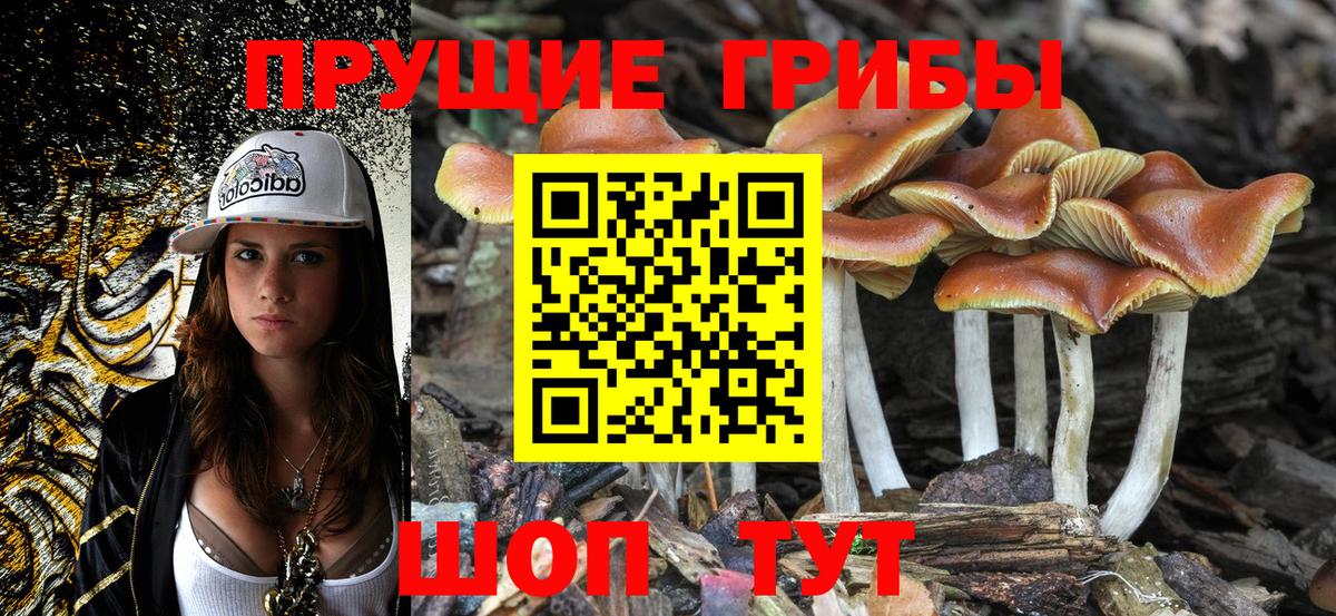 Галлюциногенные грибы мухоморы  Вход с VPN  Пенза 